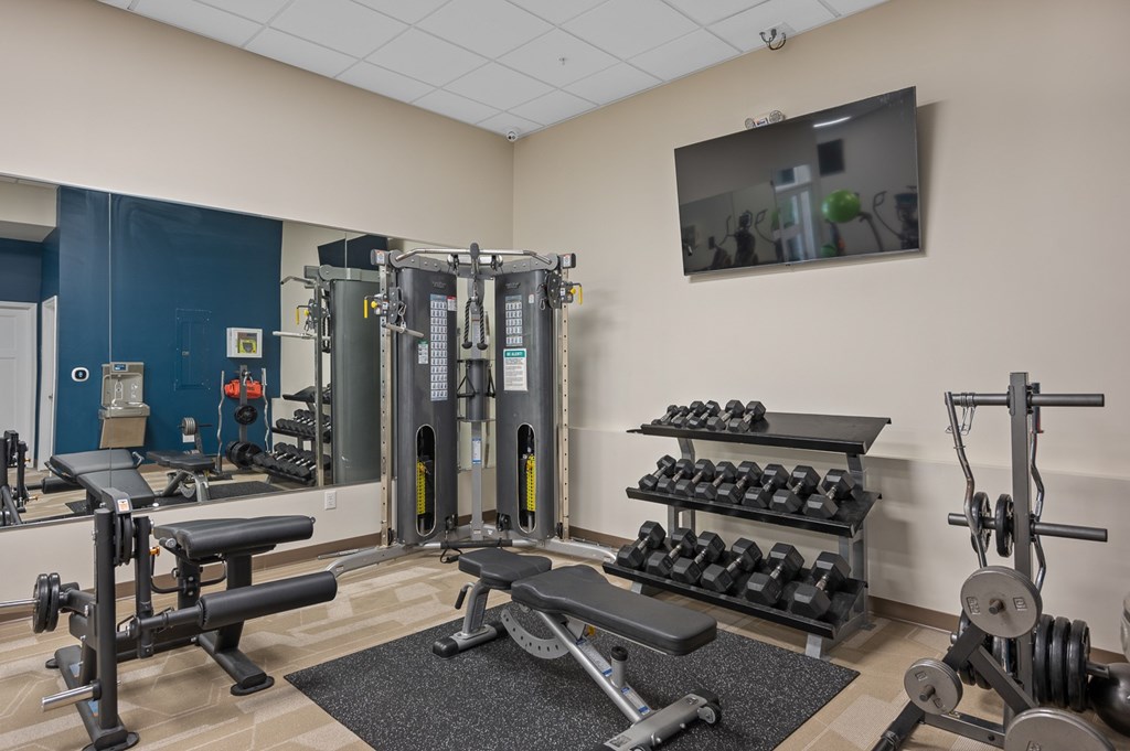 A gym with a variety of equipment including weights and a bench.