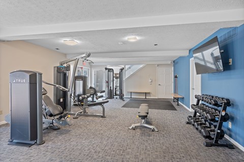 A gym with a variety of equipment including weights and a bench.