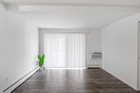 a large white room with a large window and a green plant