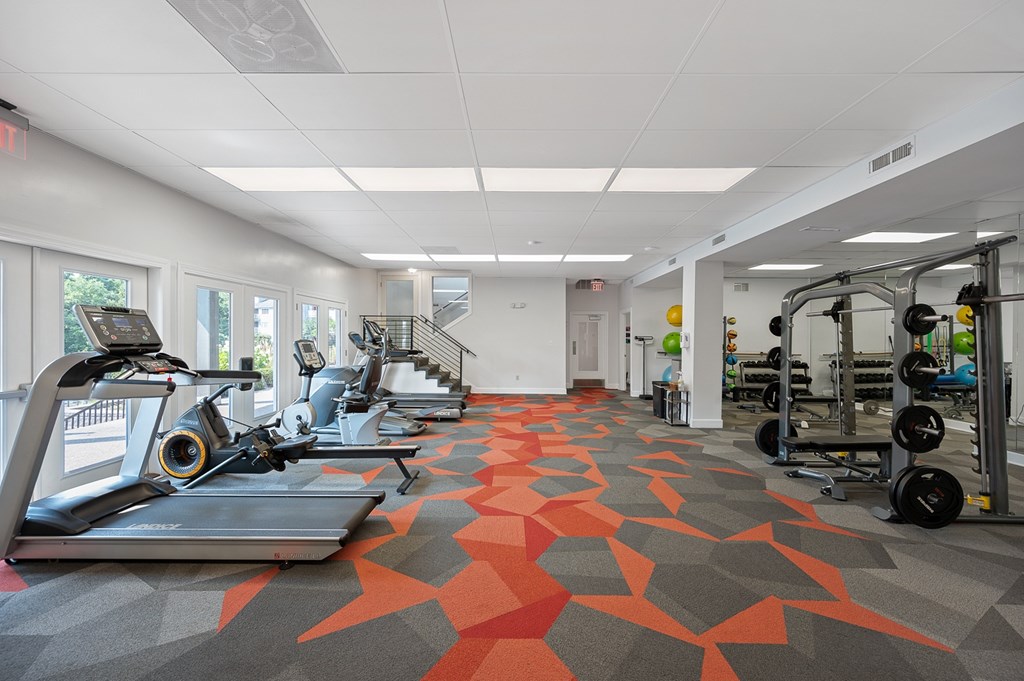 A gym with treadmills, weights and exercise equipment.