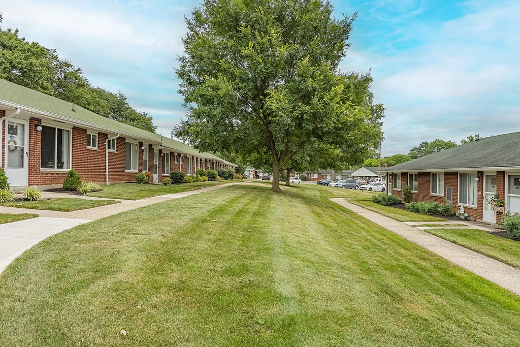 A tree in the middle of a grassy area separates a row of houses.