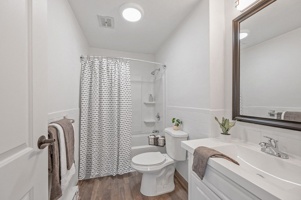 a bathroom with a shower and a toilet and a sink