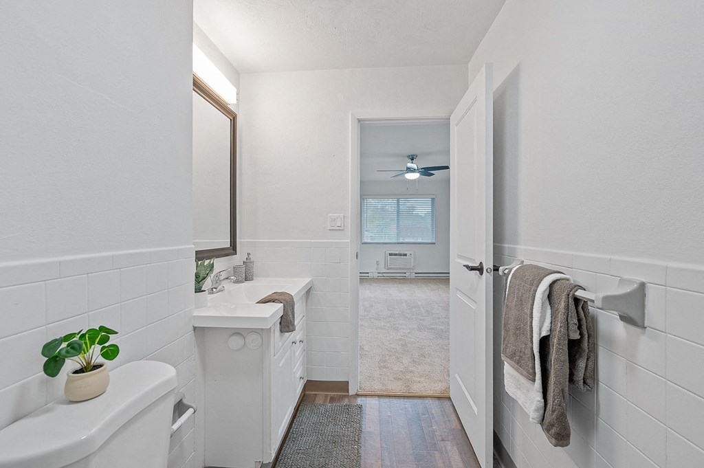 a bathroom with a sink and a toilet and a mirror