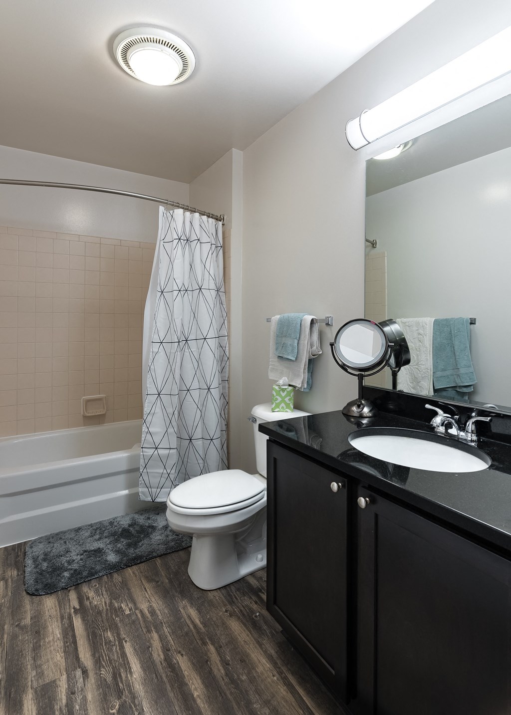 a bathroom with a sink and a toilet and a shower