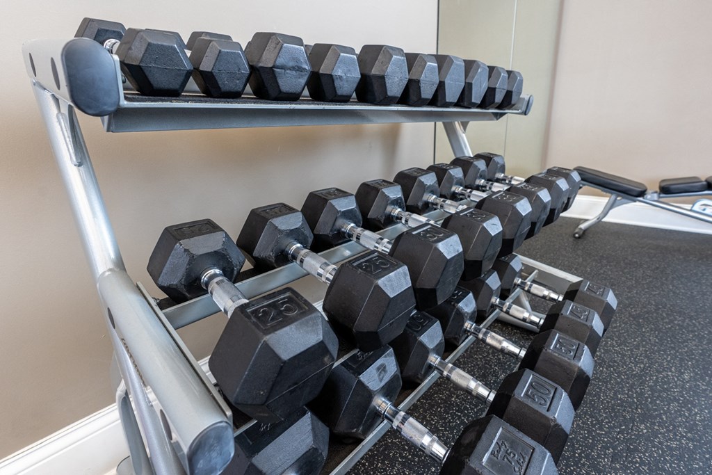 a row of dumbbells on a rack in a gym  at Grove City Summit, Grove City, 43123