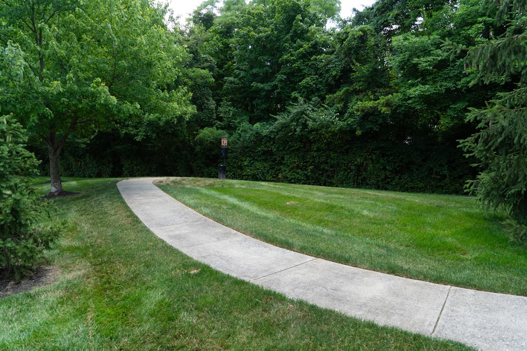 a sidewalk through a park with grass and trees