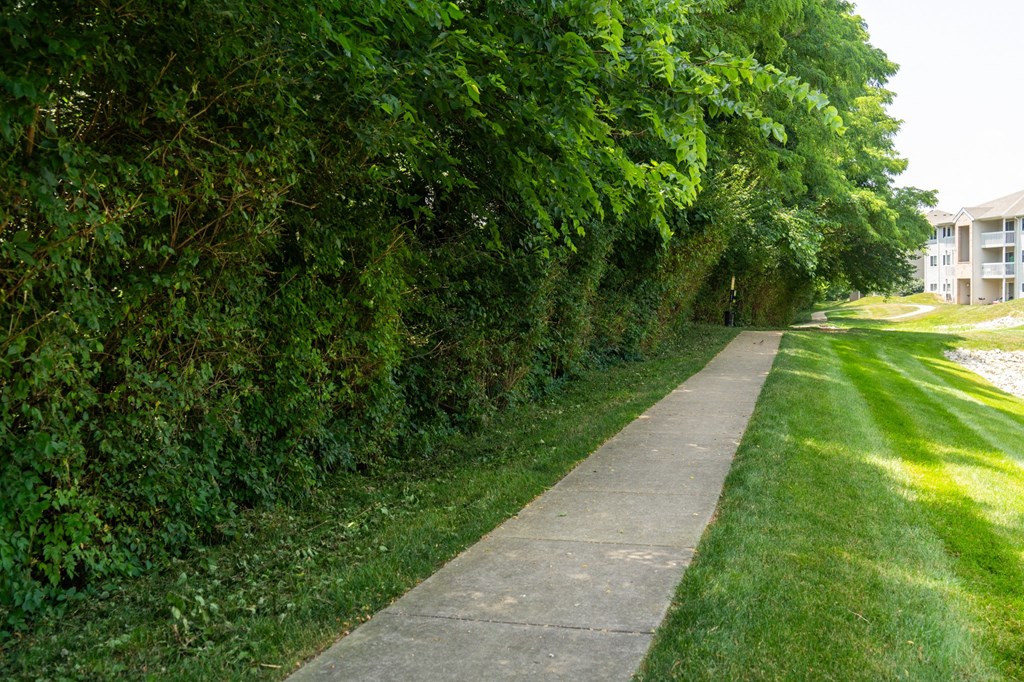 a sidewalk with trees and grass on both sides of it