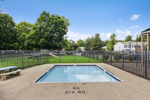 A small pool with the words "No Diving" written on the bottom.
