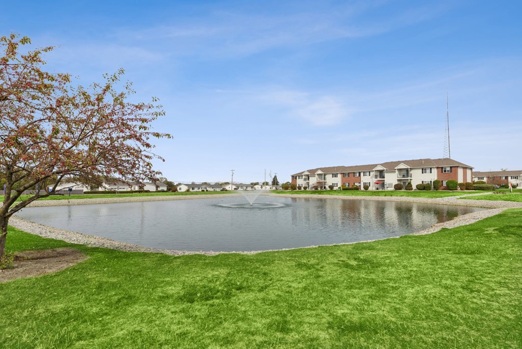 A tree with red leaves is in the foreground of a grassy area with a lake and a building in the background.