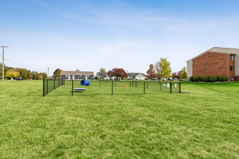 A grassy field with a basketball court and a building in the background.