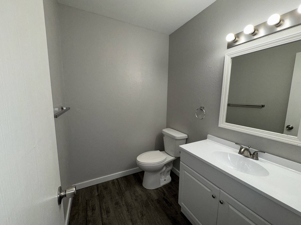 a bathroom with a toilet and a sink and a mirror