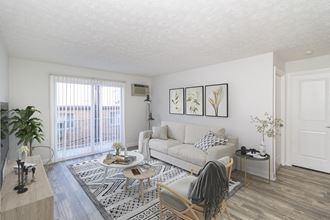a living room with a couch and a rug and a window