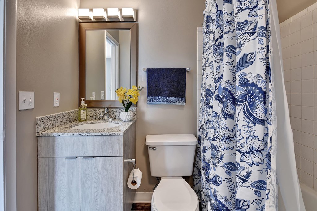 a bathroom with a blue and white shower curtain and a toilet