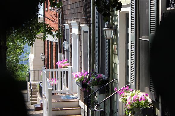 a row of houses with flowers on the sidewalk
