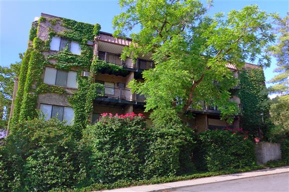 a building covered in ivy on the side of a street