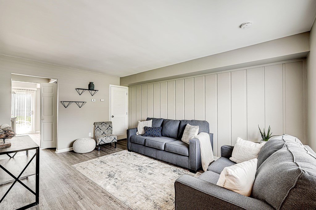 A living room with a grey couch and a white rug.