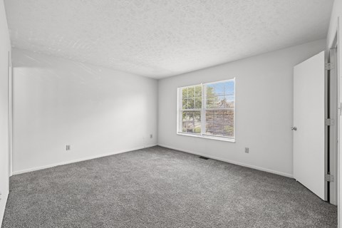 A room with a carpeted floor and a window showing a view of trees and a fence outside.