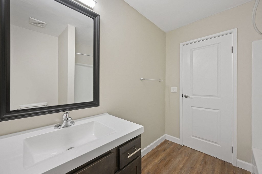 a bathroom with a sink and mirror
