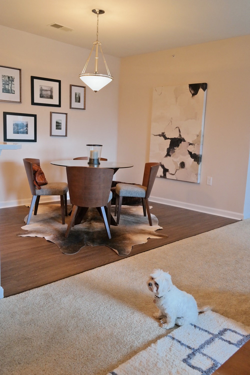 a small white dog sitting on a rug in a dining room