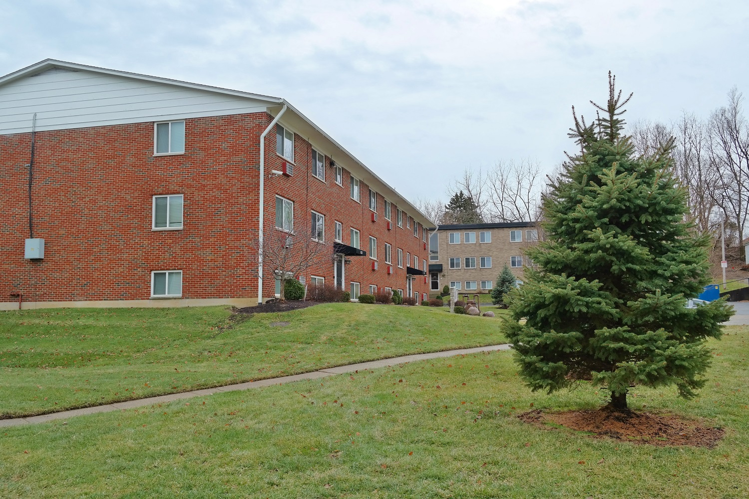 a christmas tree in front of an apartment building