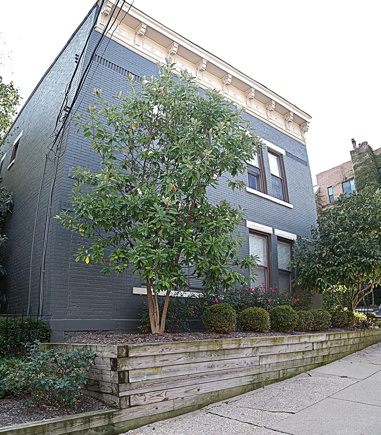 a blue house with a tree in front of it