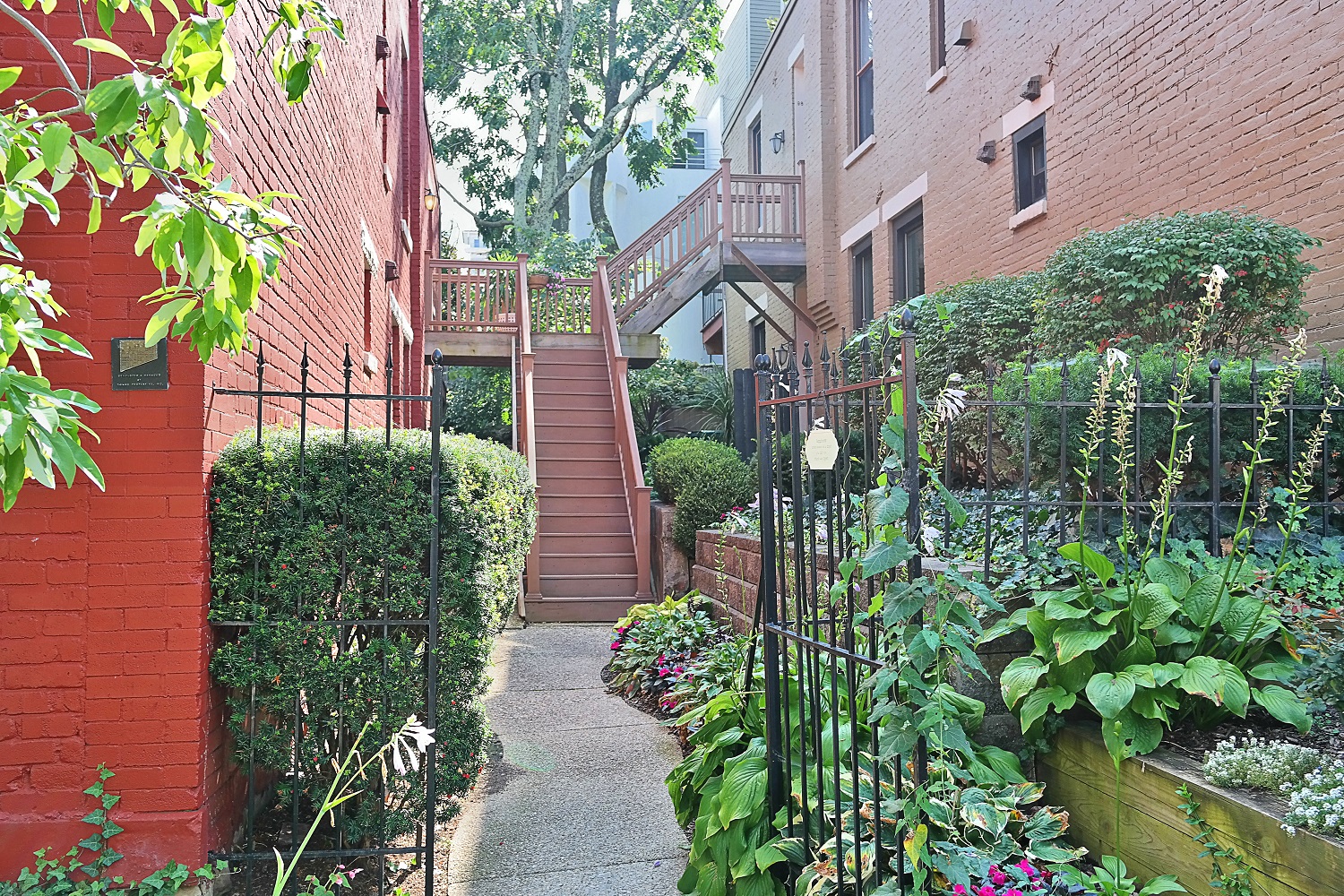 a small walkway between two buildings with plants and stairs