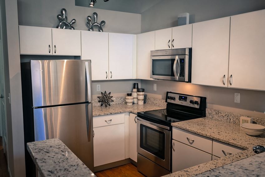 Refrigerator And Kitchen Appliances Refrigerator And Kitchen Appliances at The Lofts at Shillito Place, Ohio - Photo Gallery