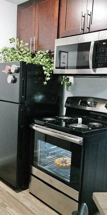 Upscale Stainless Steel Appliances at Tall Timber Apartments, Ohio, 45241
