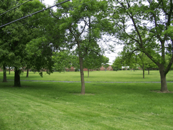 6210 Ambleside Dr apt B 2 Beds Apartment for Rent - Photo Gallery 11