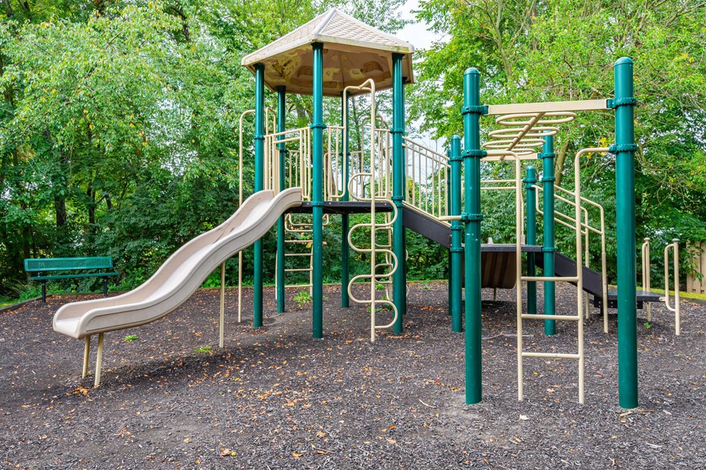 a playground with a slide and other play equipment