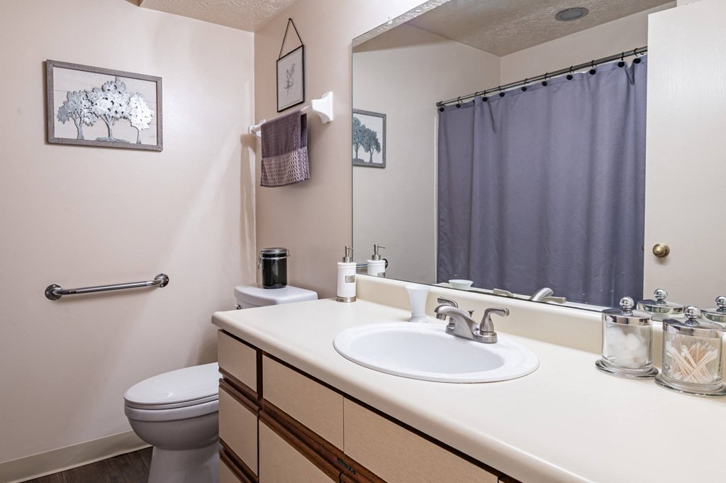 a bathroom with a sink and a toilet and a mirror