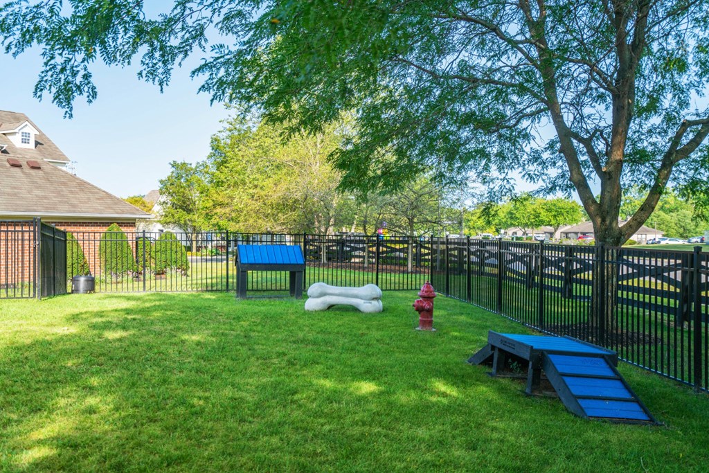 a fenced in dog park with a picnic table and a fire hydrant