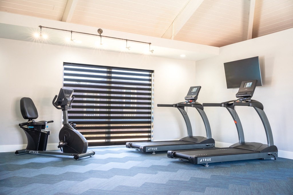two treadmills and a tv in a gym room