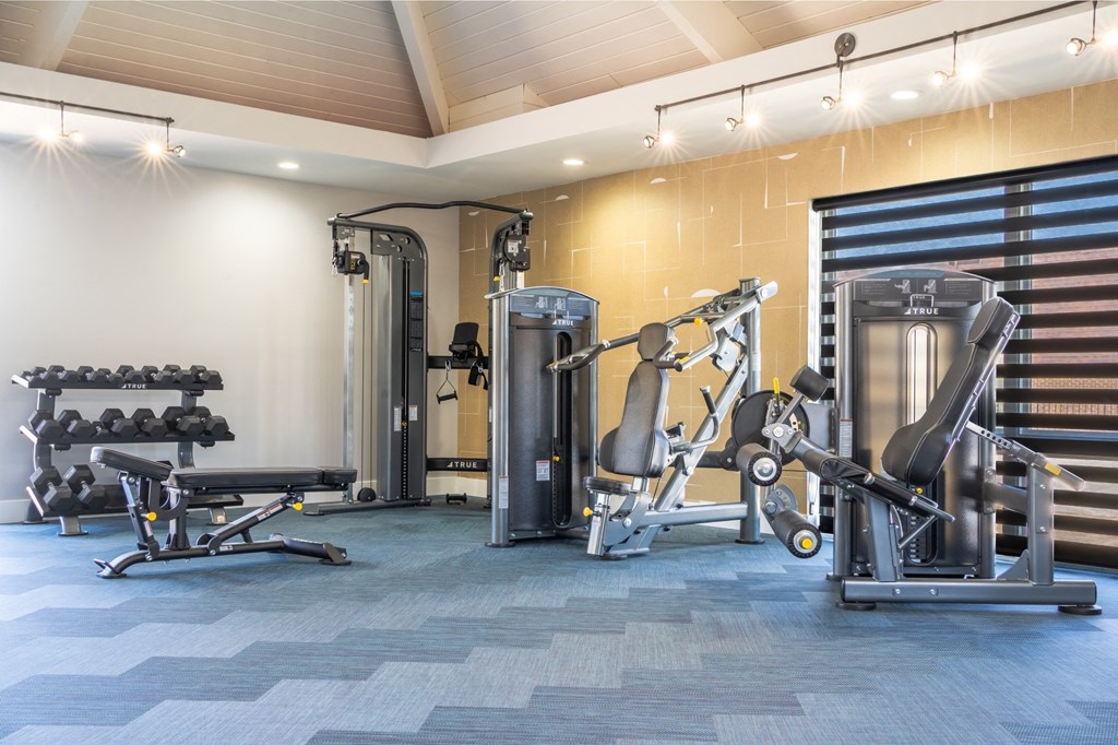 a gym with cardio equipment and weights in a building
