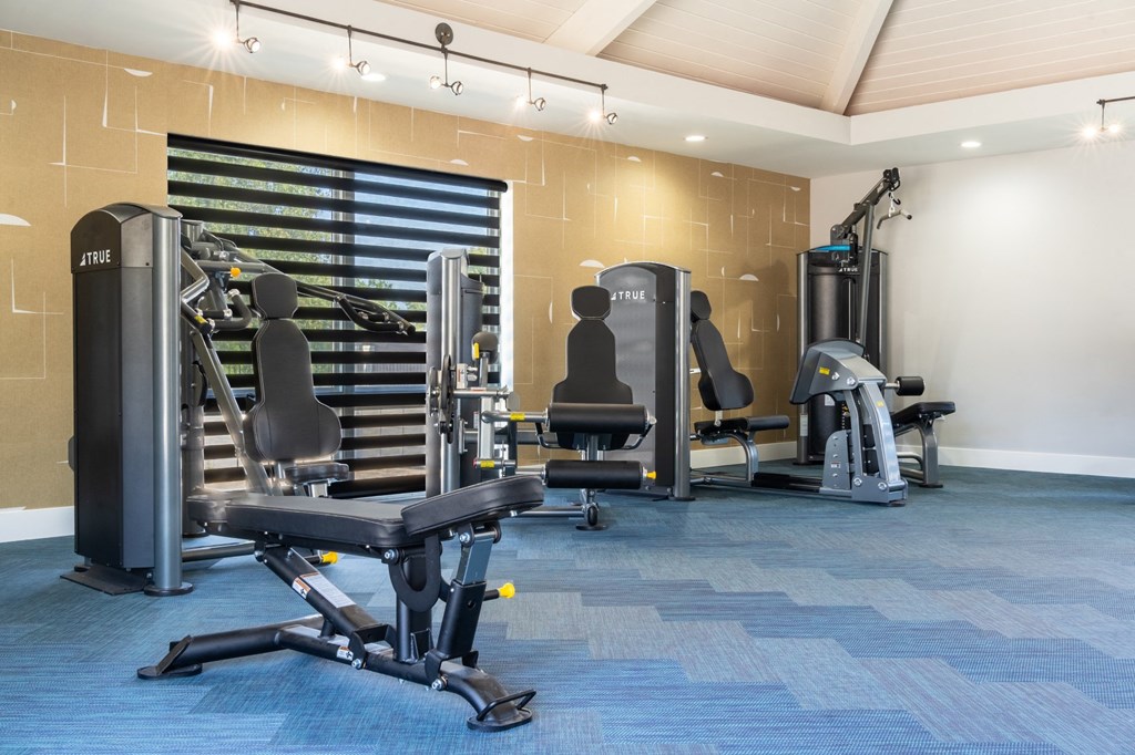 a gym with weights and cardio equipment in a hotel room