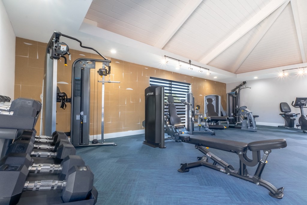 a gym with cardio equipment and weights on a blue floor