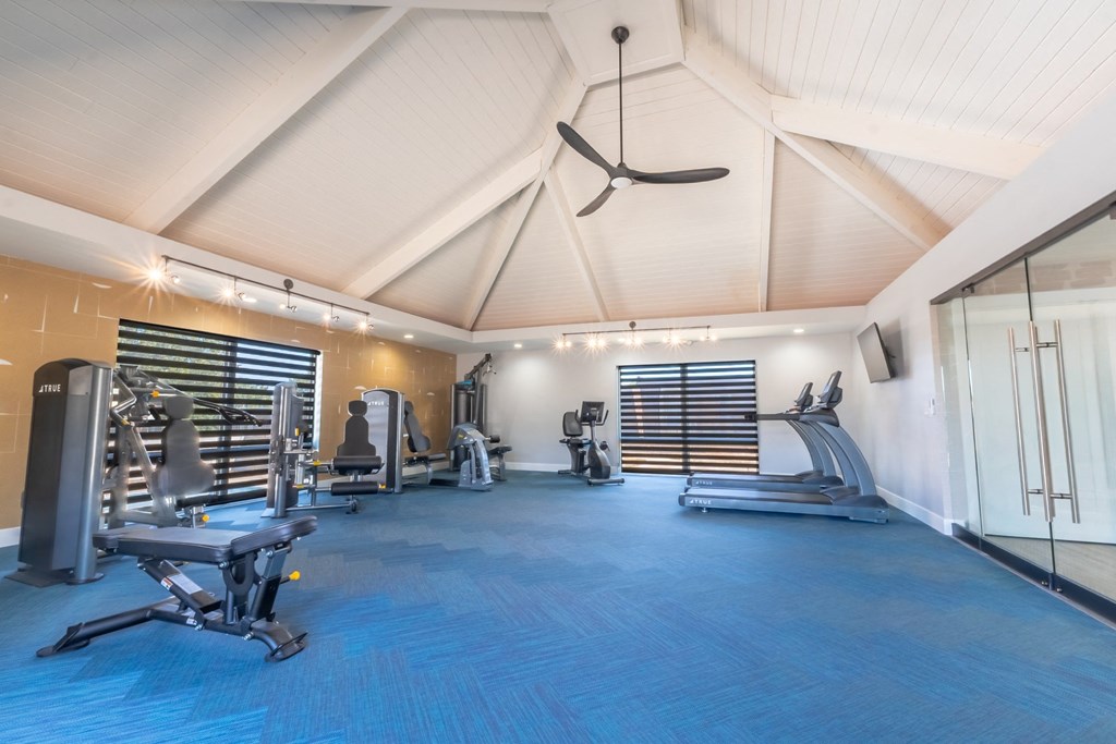 a gym with cardio machines and weights on a blue floor