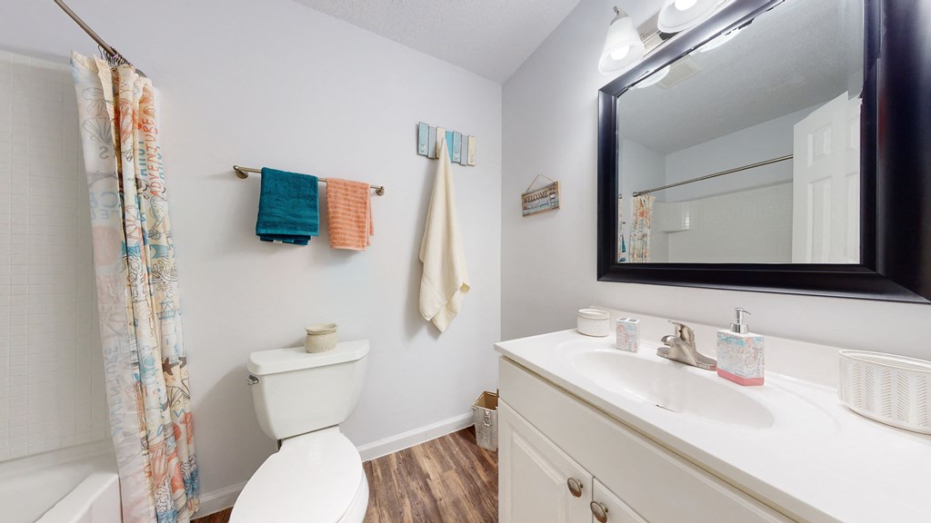 a bathroom with a mirror and a toilet and a sink