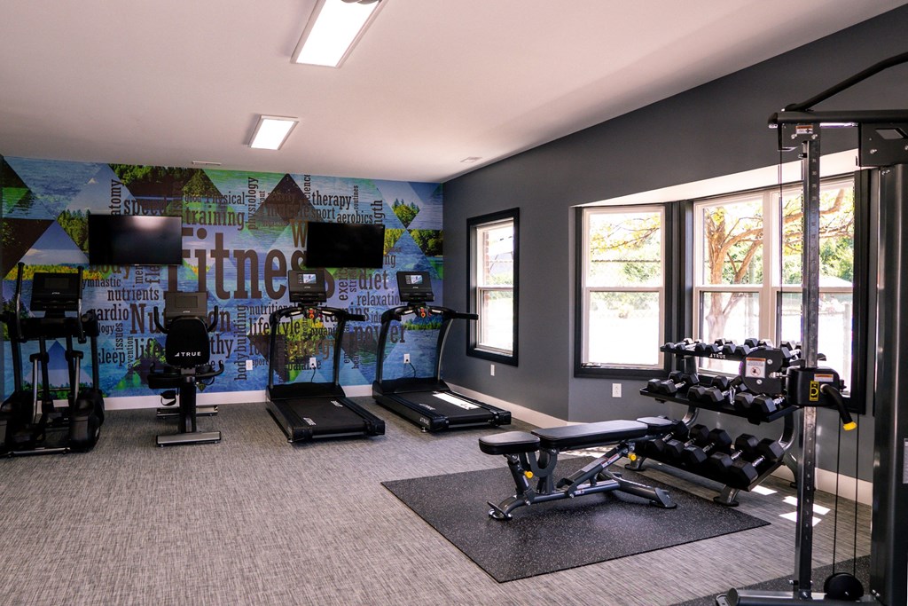 a workout room with weights and a wall mural of a gym