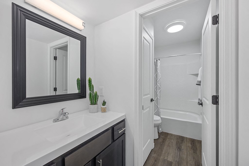 a bathroom with a sink and a mirror and a shower
