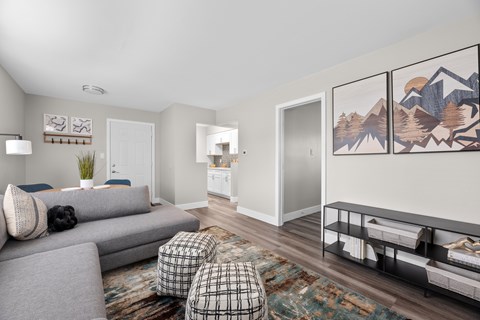 A living room with a grey couch and a rug.
