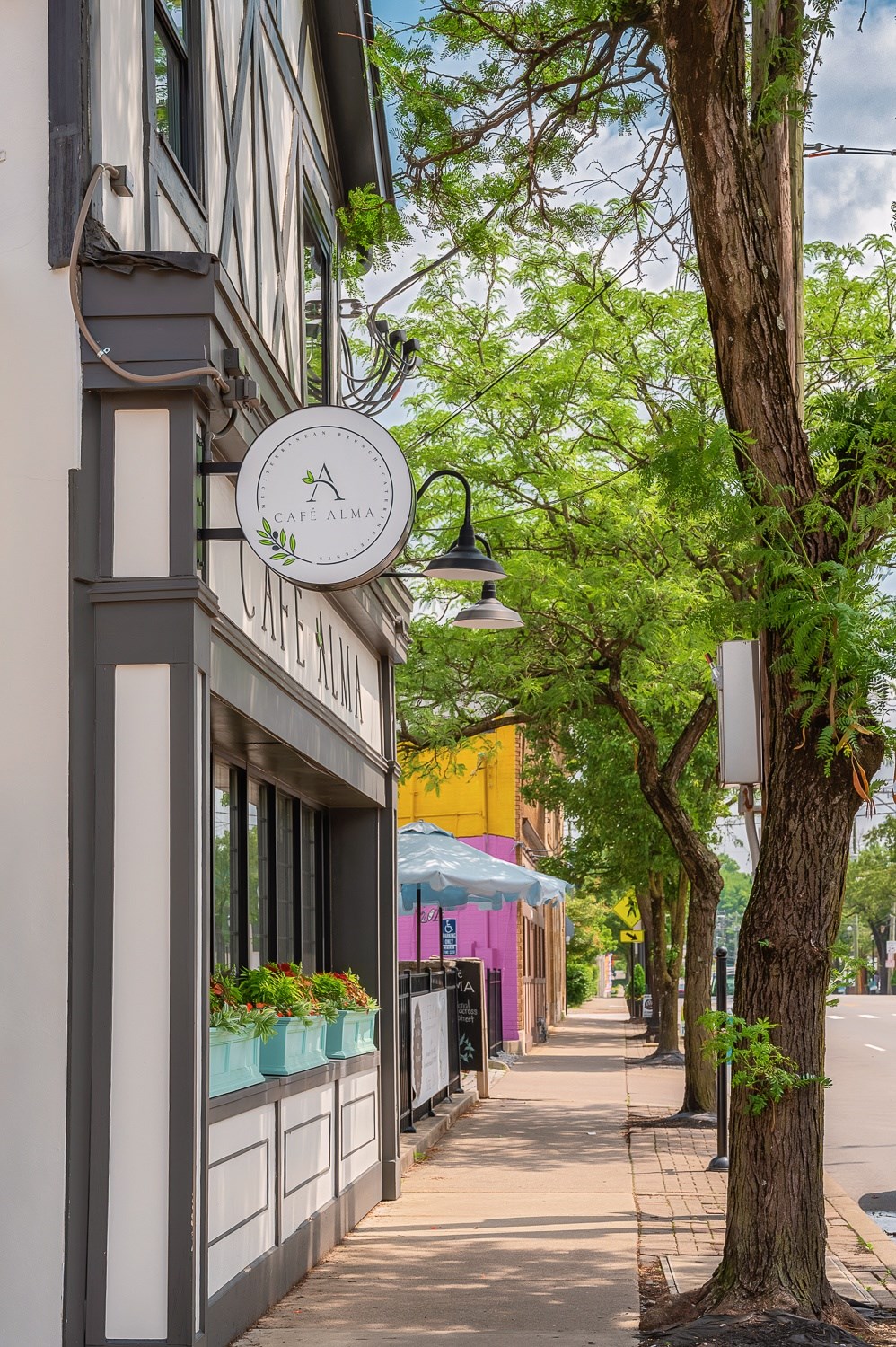 A tree stands  at The Ridge Apartments, Ohio
