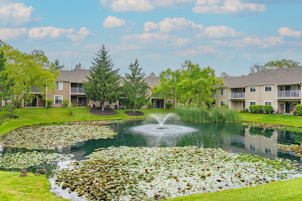 the preserve at ballantyne commons community pond