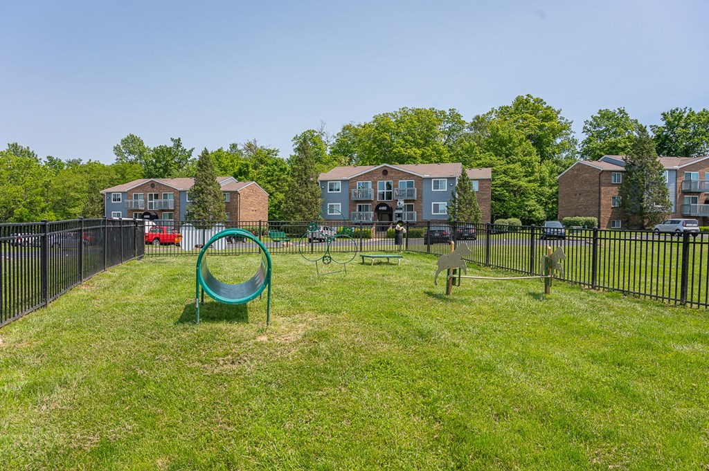 the preserve at ballantyne commons dog park apartments ga