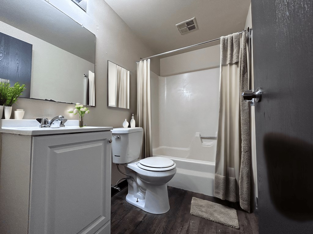 a bathroom with a shower toilet and sink