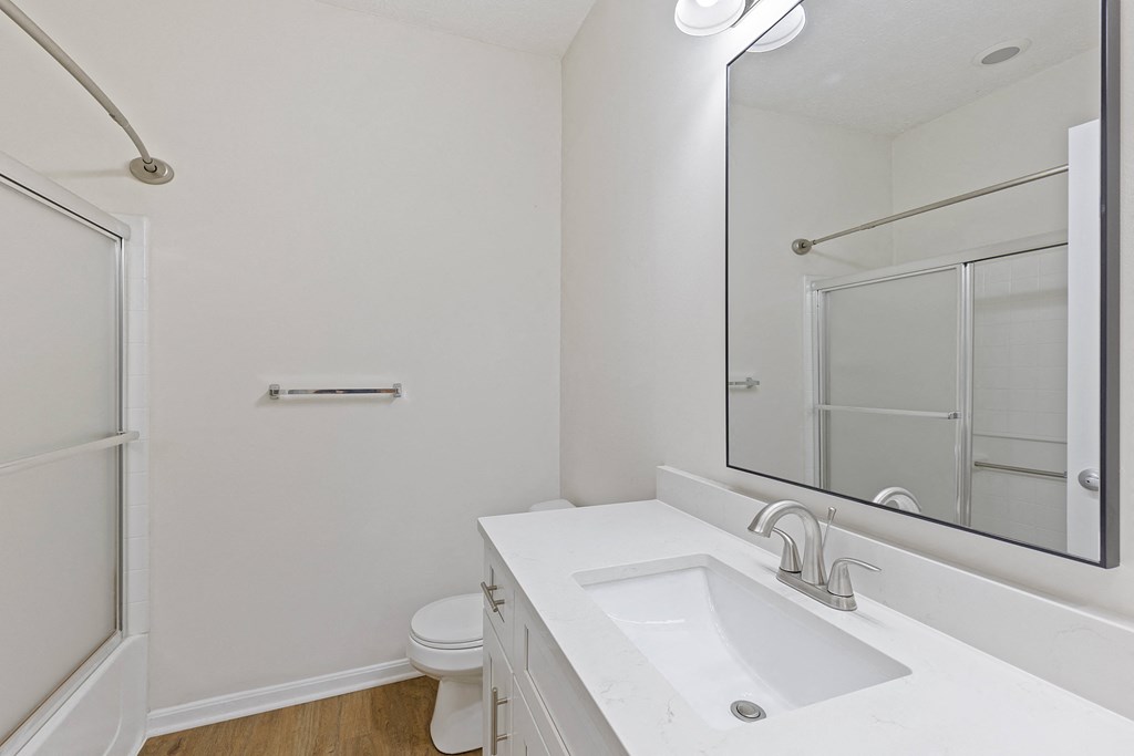 a bathroom with a sink and a mirror and a shower
