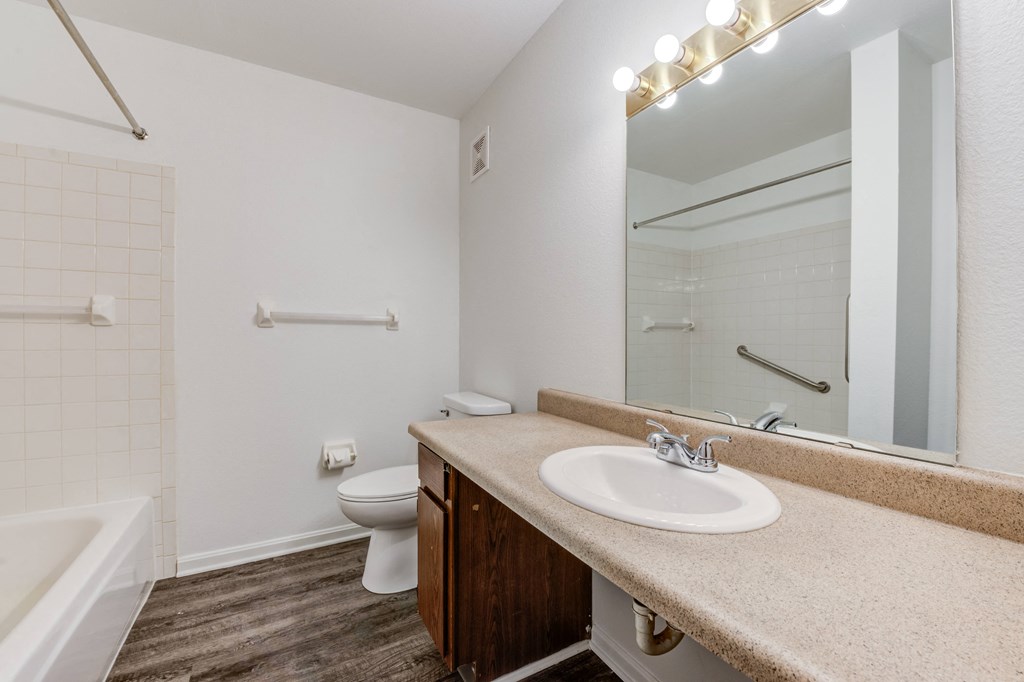 a bathroom with a sink and a toilet and a mirror