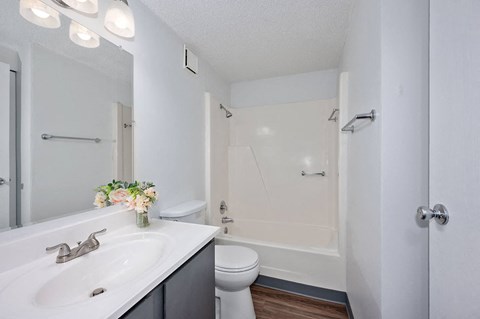 a bathroom with a sink and a toilet and a shower