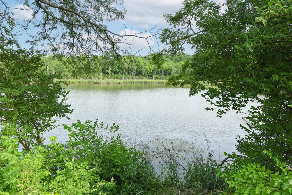 a view of a lake through the trees at The Woodridge Collection, Fairfield, OH 