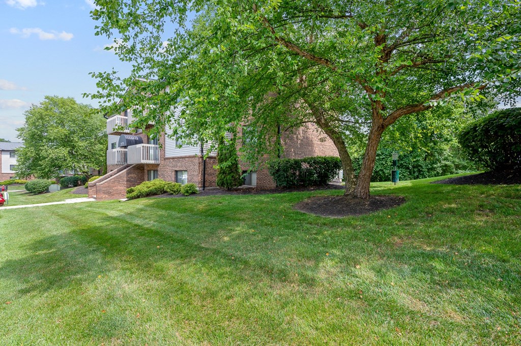 a large tree in front of a brick building at The Woodridge Collection, Fairfield Ohio